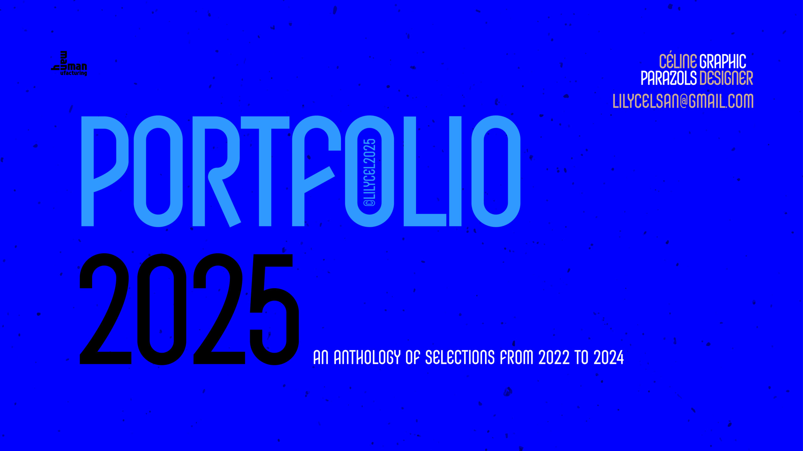 portfolio 2025