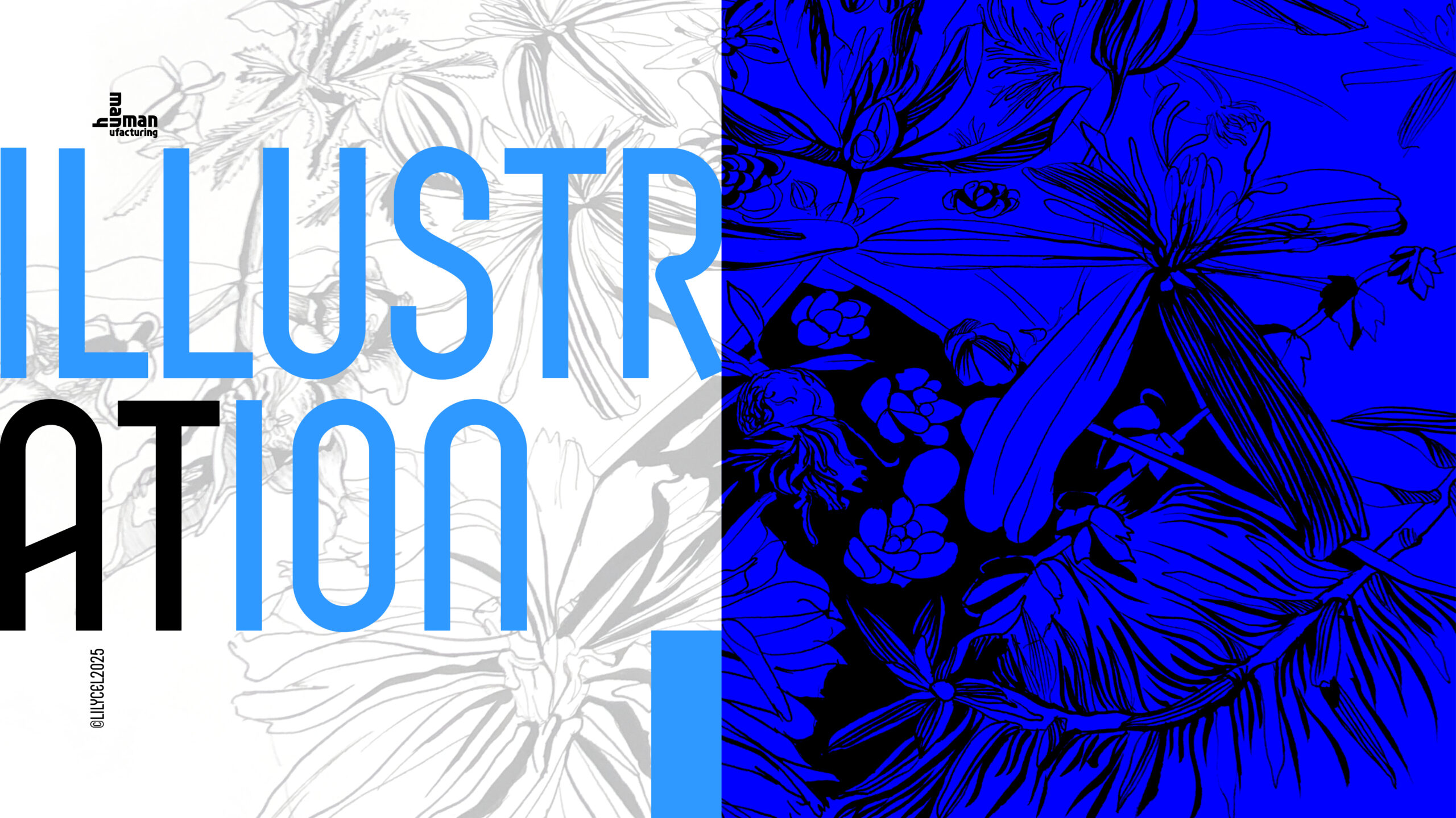 portfolio 2025 illustration