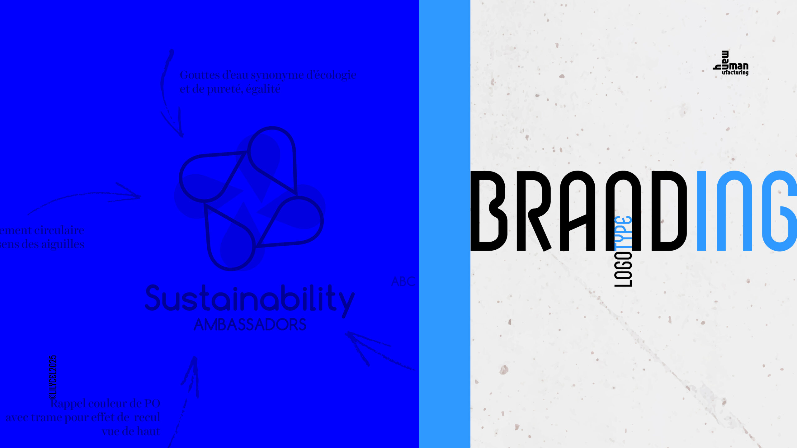 portfolio 2025 branding