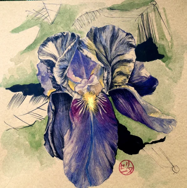 Iris-V-ambiance2
